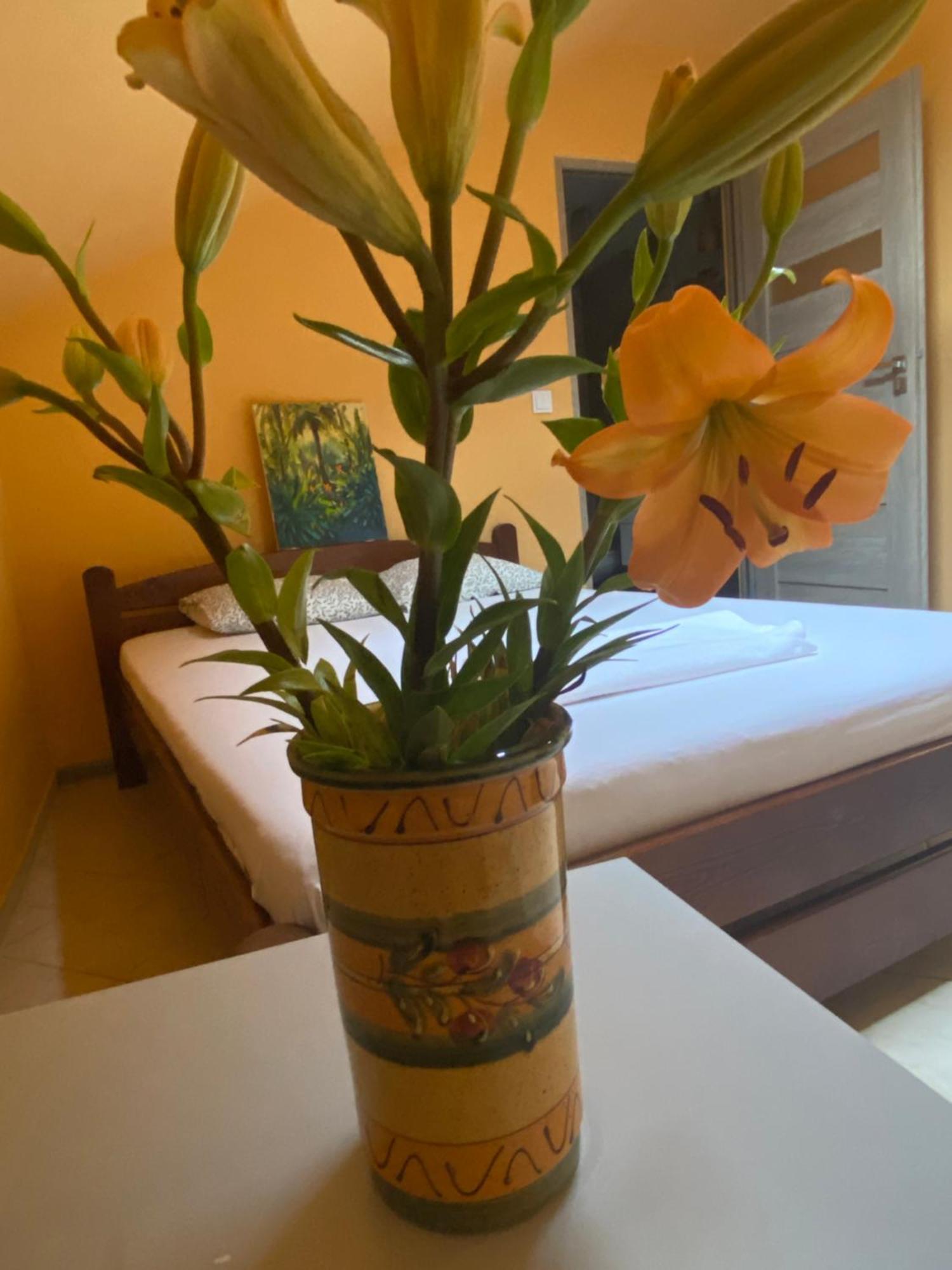Art Space Hostal