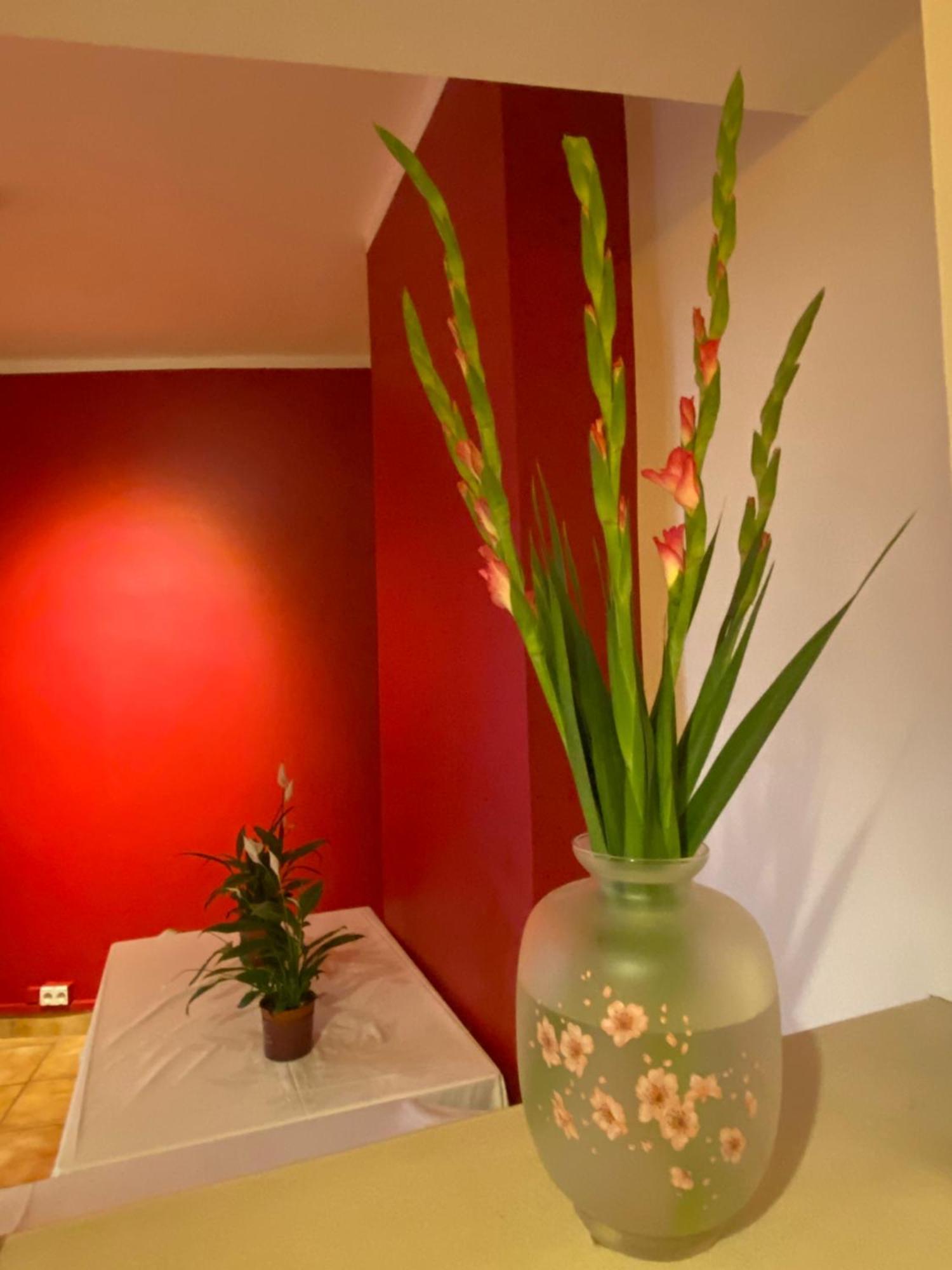 Hostal Art Space *